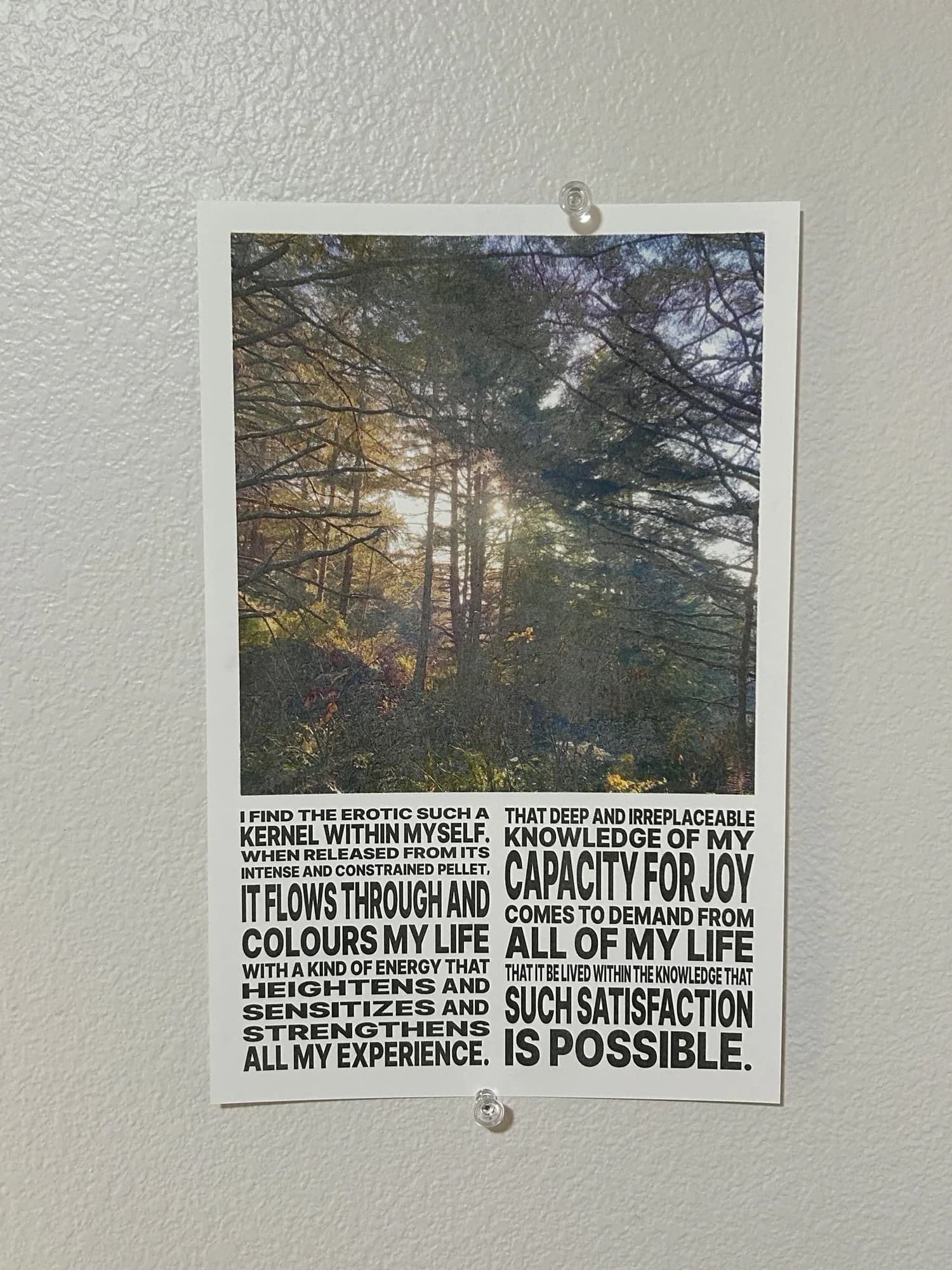 studio/poster.jpeg image 35